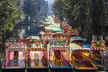 Xochimilco 5 Hour Boat Ride and UNAM University Tour - Second Medium