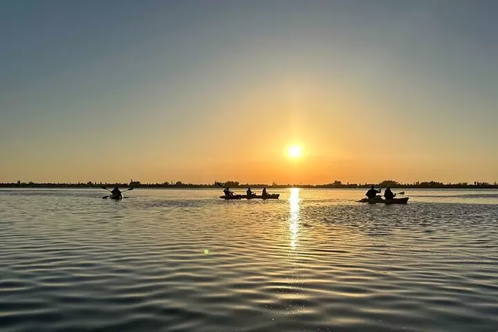 Sunset Kayaking with Dolphins