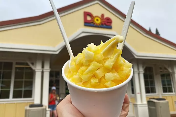 Diamond Head Hiking and Oahu Island Experience feat. North Shore