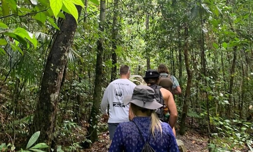 Image 6: Eungella Platypus Tour