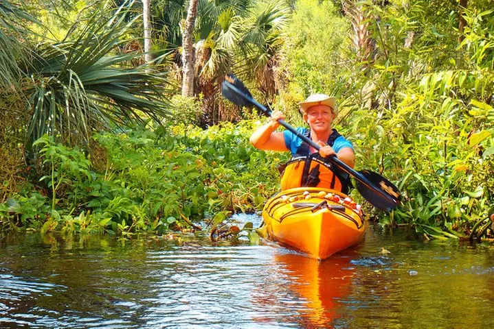 Wekiva River Guided Kayak Tour