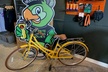 St Pete E-Bike Rentals - Second Medium