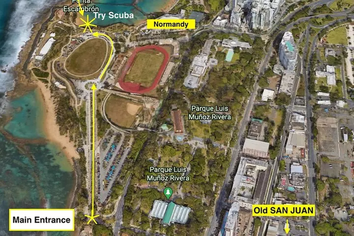 Beginner Scuba Diving with Turtles and Videos, San Juan - Second Medium