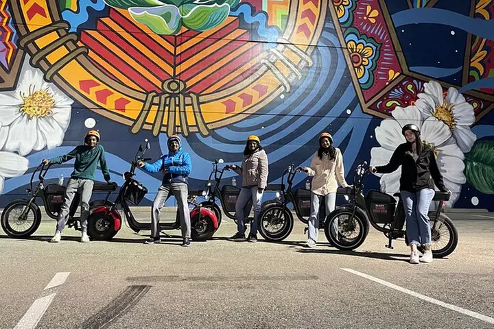 Smart Tour: Dallas Mural E-Bike Tour