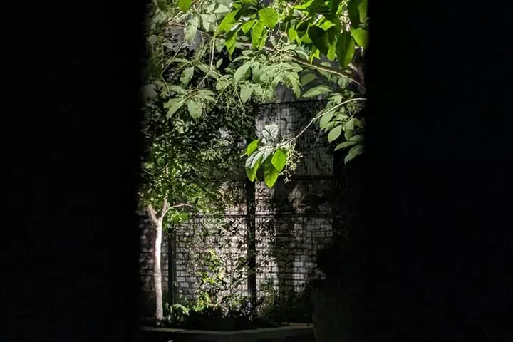 Interactive Paranormal Ghost Walking Tour in Savannah Georgia