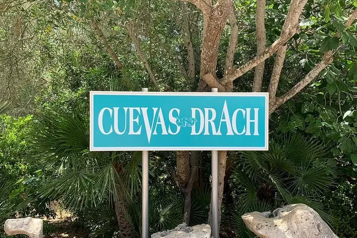 Excursión de día completo a las cuevas de Mallorca : Drach, Hams & ...
