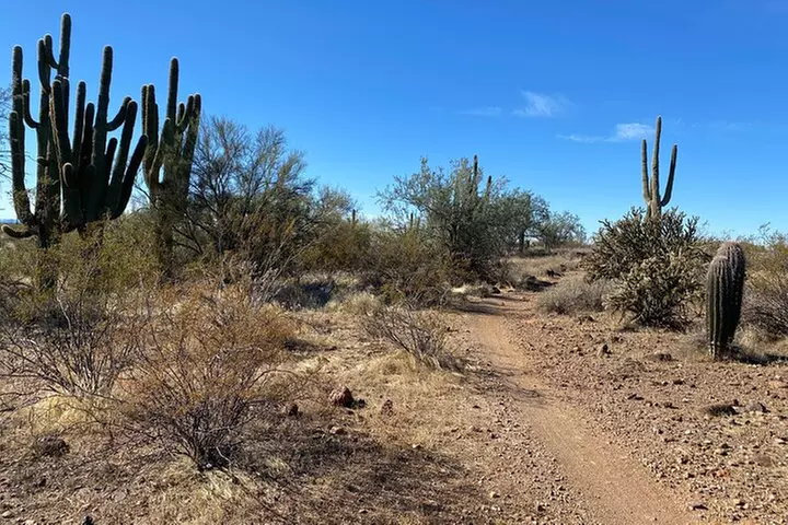 2 Hour Sonoran Desert Private Guided Mountain Bike Tour