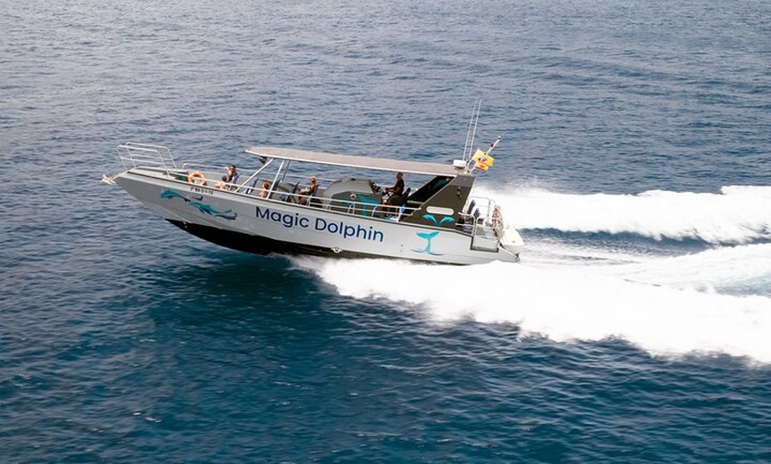 Image 8: Excursión de 2 horas - Avistamiento de delfines en Fuerteventura