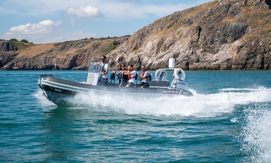 Image 4: Torquay Coastal RIB Seafari