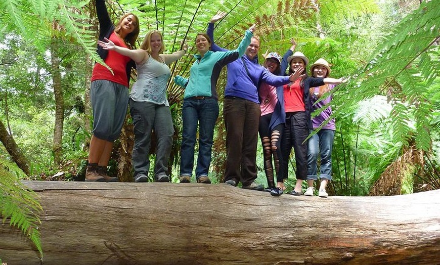 Image 3: Mt Field, Mt Wellington & Tassie Devils Active Tour from Hobart