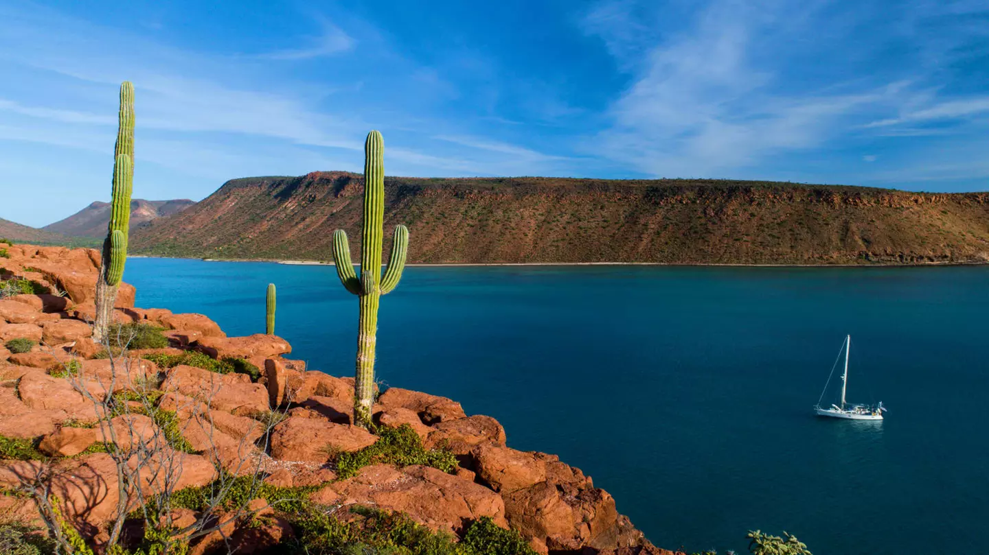 ✈ BASSA CALIFORNIA | Cabo San Lucas - Tour in auto della Bassa California del Sud 3*, 9 notti - Viaggio on the road