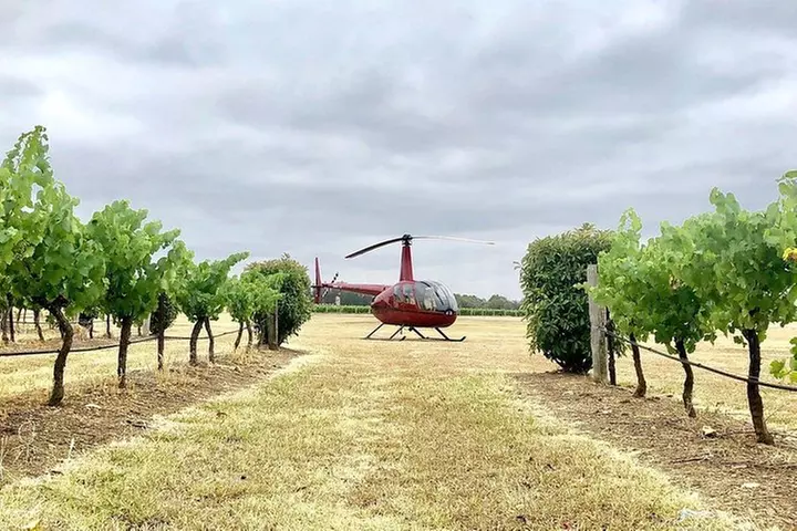 Hunter Valley Helicopter and Mini Degustation Tour - Image 7
