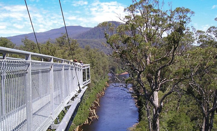 Image 5: Huon Valley Kayaking and Tahune Adventures