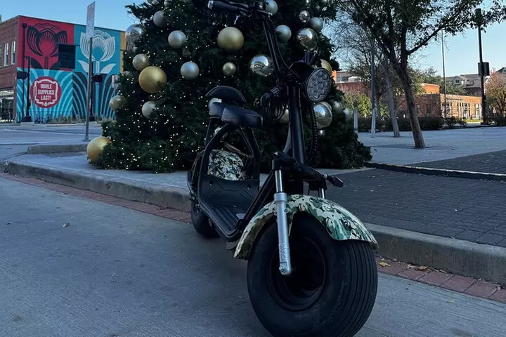 Fat Tire 2 Seater Rental in Dallas