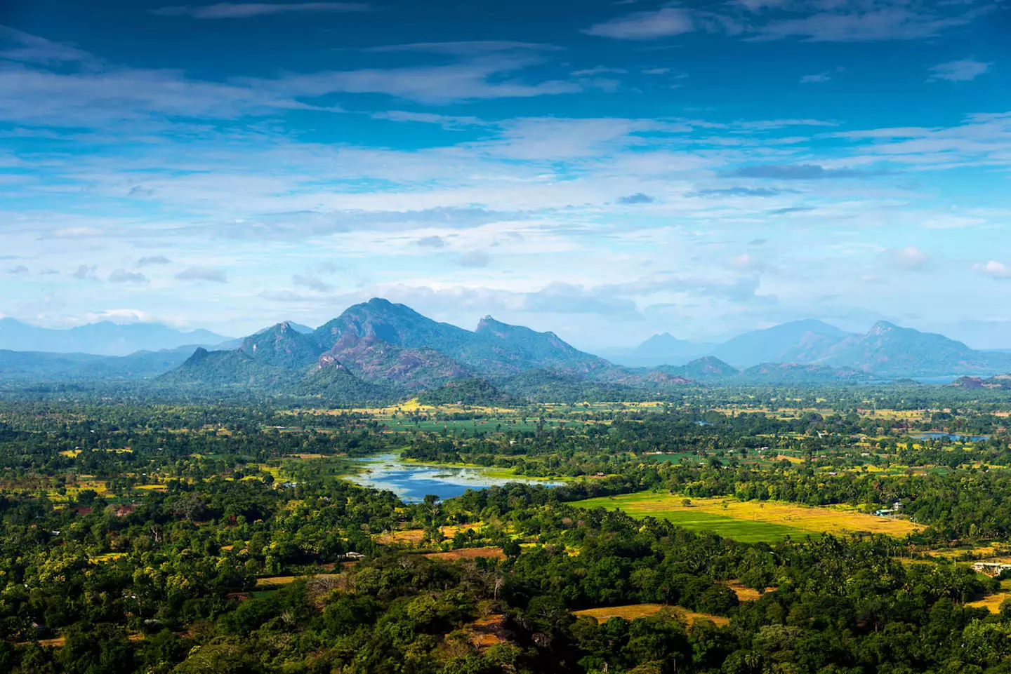 ✈ SRI LANKA & MALDIVE | Da Colombo all'Atollo di North Malé - Scopr...
