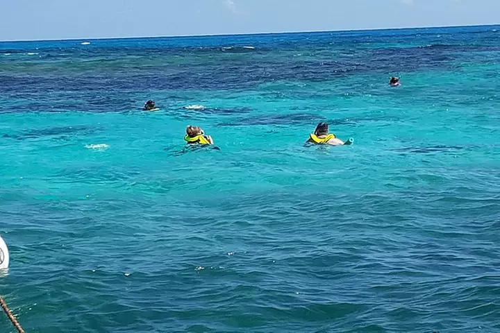 A Unique Private Snorkel Tour of Key Largo