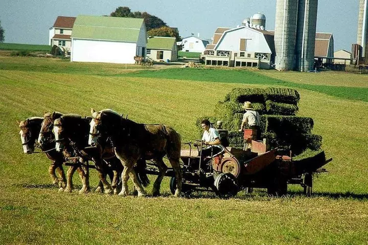 Amish Country Private Tour from New York plus Outlet Shopping - Primary Image