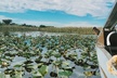 60 min. Everglades Airboat ride & pick-up ,small group +pro guide - Second Medium