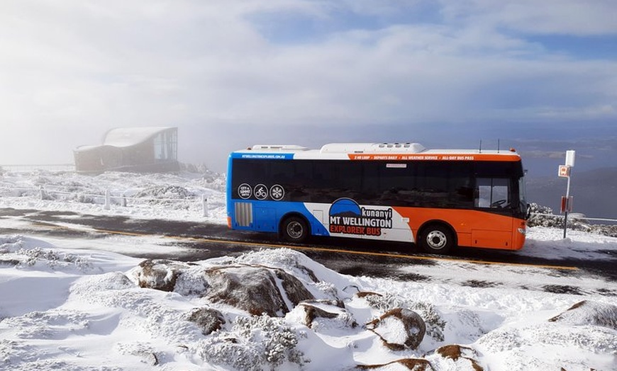 Image 7: kunanyi/Mt Wellington Explorer Bus- Return Tour (2.5 hours)