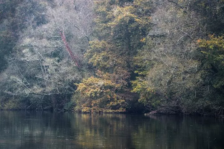 Saguaro NP and Mt. Lemmon Self Guided Driving Audio Tour Bundle