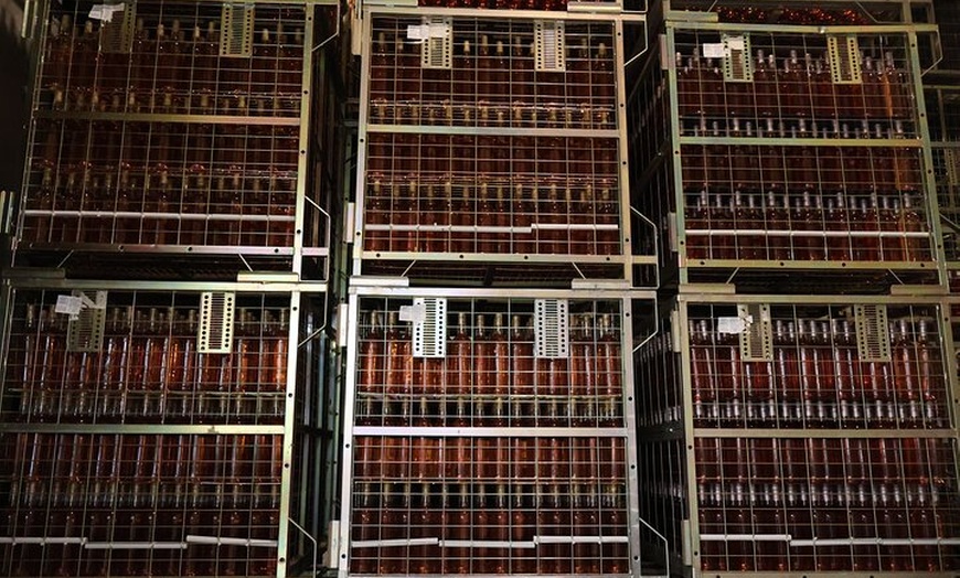 Image 5: Clase magistral de acceso y degustación exclusiva de bodegas secret...