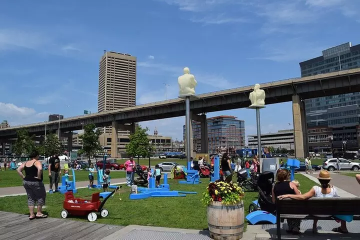 Self-Guided Buffalo Scavenger Hunt: Roaming Buffalo