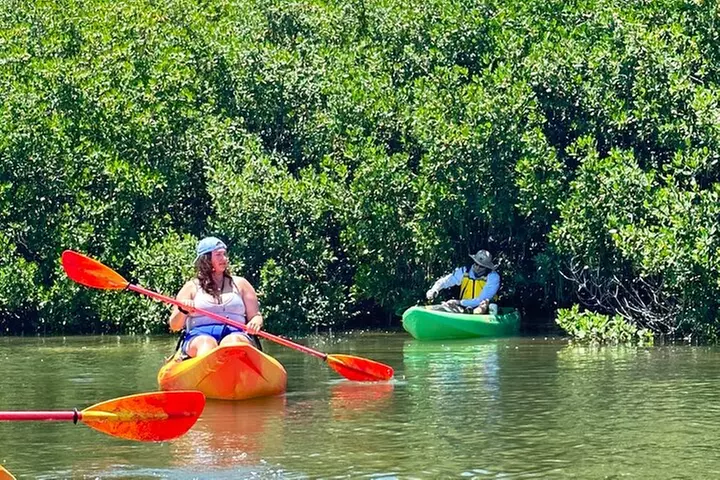Exclusive Kayak Expedition: Exploring the Mangroves to Shell Key