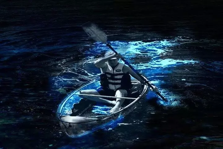 Cocoa Beach Clear Kayaking Bioluminescent Night Tour - Primary Image