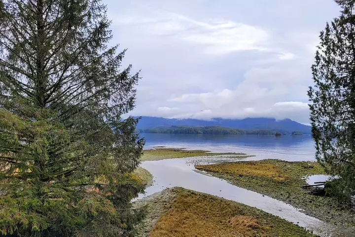 Ucluelet Tour, Pacific Rim Expedition to Barkley Sound Viewpoint - Second Medium