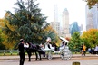 NYC Central Park Horse Carriage Ride (Up to 4 Adults) - Second Medium