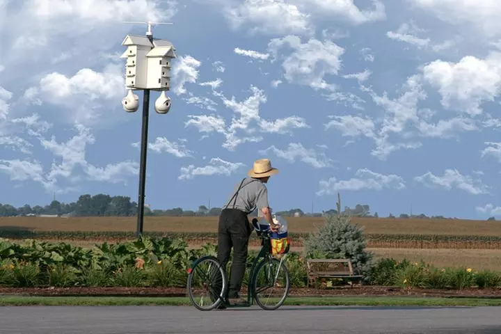 Premium Amish Country Tour including Amish Farm and House