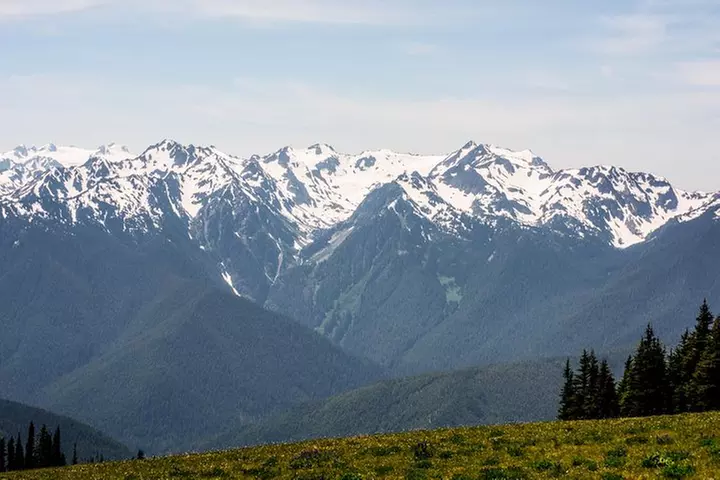 Olympic National Park Day Tour from Seattle