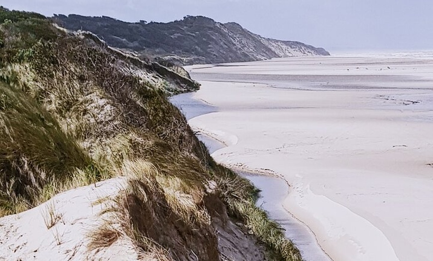 Image 13: 5-Day Best of Tasmania Tour from Hobart