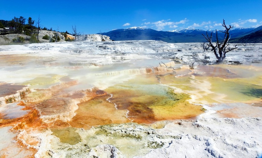 Image 16: ✈ ETATS-UNIS | De Denver à Salt Lake City - Yellowstone, Rocheuses ...