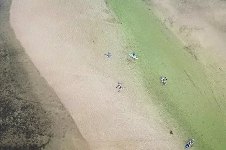 Clear Kayak Ecotour at Robinson Preserve in Bradenton, Florida