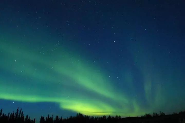 Northern Lights Experience and Cabin Dinner