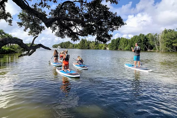 Wildlife Refuge Manatee, Dolphin & Mangrove Kayak or Paddleboarding...