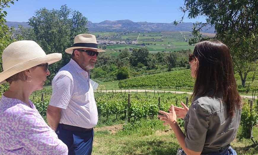 Image 4: Ruta Puentes y Murallas de Ronda + Visita a Bodega y cata 4 vinos