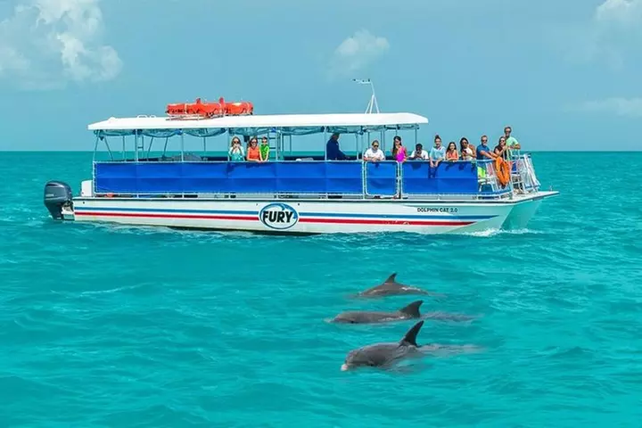 Key West Dolphin Watch and Snorkel Tour - Eco Adventure