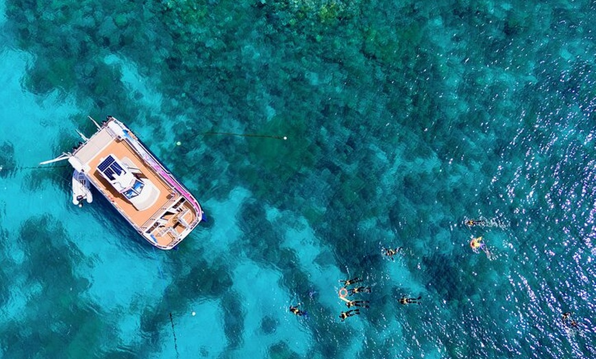 Image 10: Half Day Great Barrier Reef Snorkeling Tour