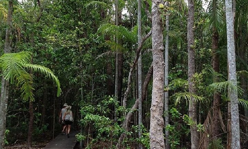 Image 7: Litchfield National Park and Jumping Crocodile Cruise