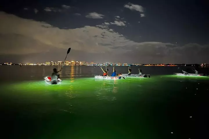 Sarasota - Clear Kayak LED Night Glass Bottom Tour