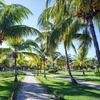 Image 25: ✈ KUBA | Varadero - Royalton Hicacos Adult Only 5*, 5 Nächte - All-...