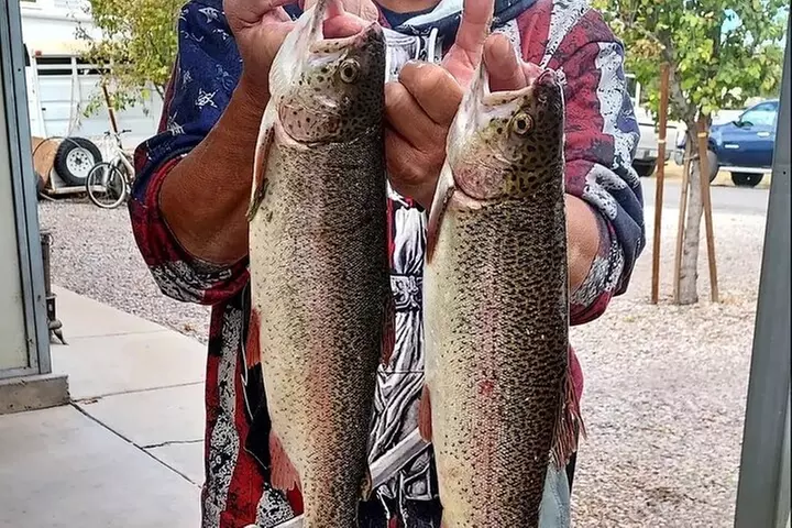 AZ Trout Fishing, on foot 2hrs. session! up to 4 people