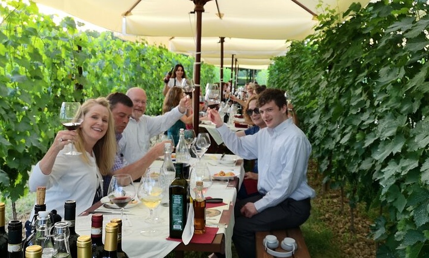 Image 6: Cena privata e degustazione di vini in azienda vinicola a San Gimig...