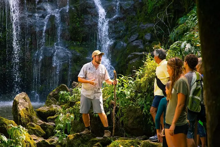 Big Island Kohala Zip and Dip Tour from Kona