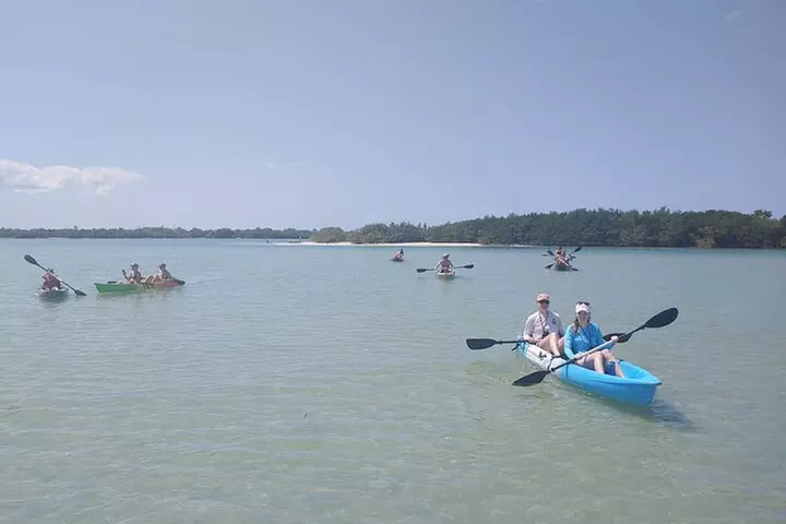 Guided Kayak EcoTour of Beautiful Shell Key Preserve