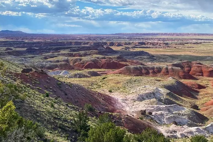 Petrified Forest National Park Self-Guided Driving Audio Tour