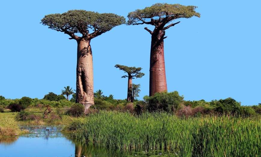 Image 12: ✈ SÉNÉGAL | Dakar - Au Pays de la Teranga - Privatif