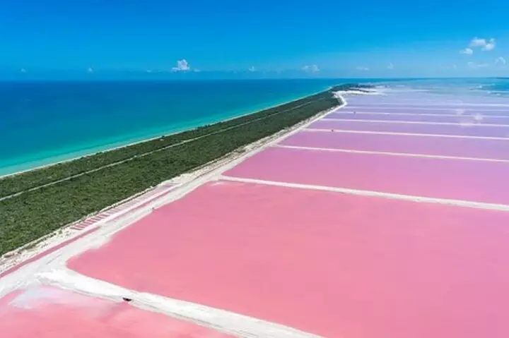 Las Coloradas & Rio Lagartos Private Tour pickup from Cancun or Riviera Maya - Primary Image